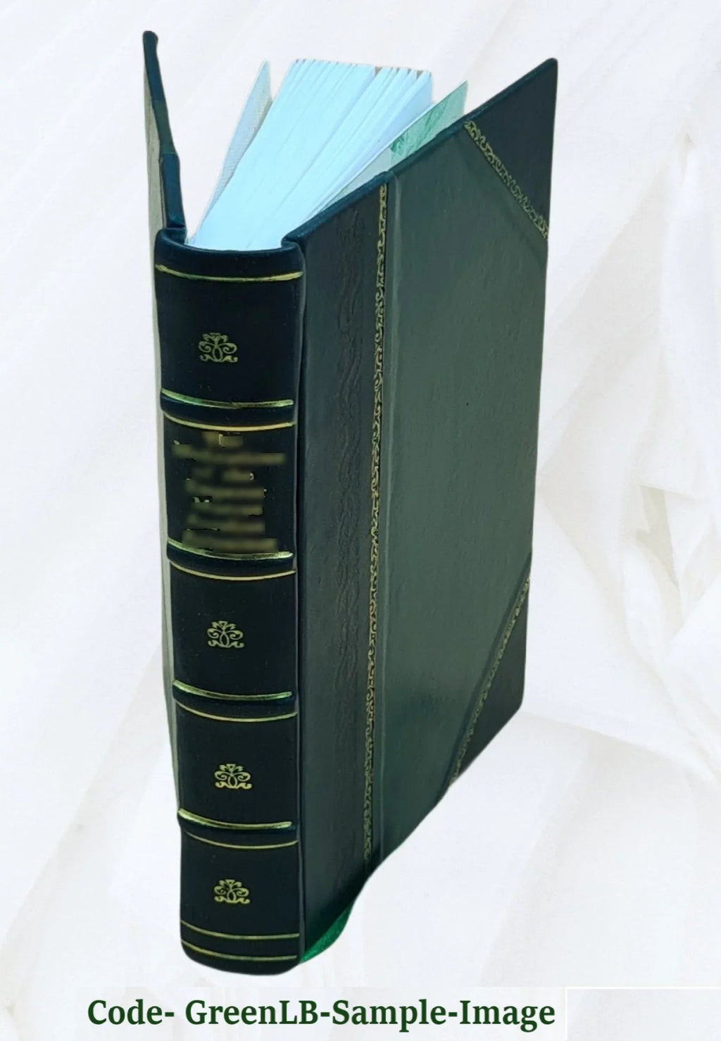family 17, Bound] the Haven, New Wednesday, the Historical of Munson reunion 1887 address first [Leather in city 1887 of held August