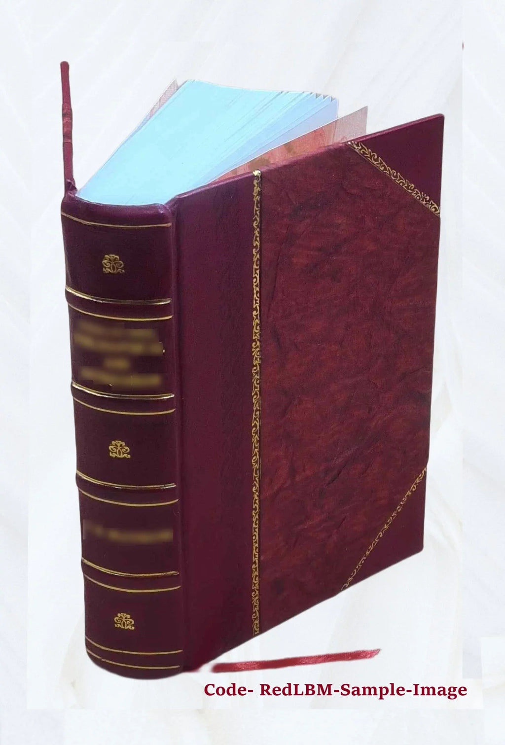 Volume of 1973:pt. business the compiled and / Administration, Bureau Insurance Security Survivors Federal County [Leath Agency. 1973 of Security patterns by 1-7 Social Old-Age the