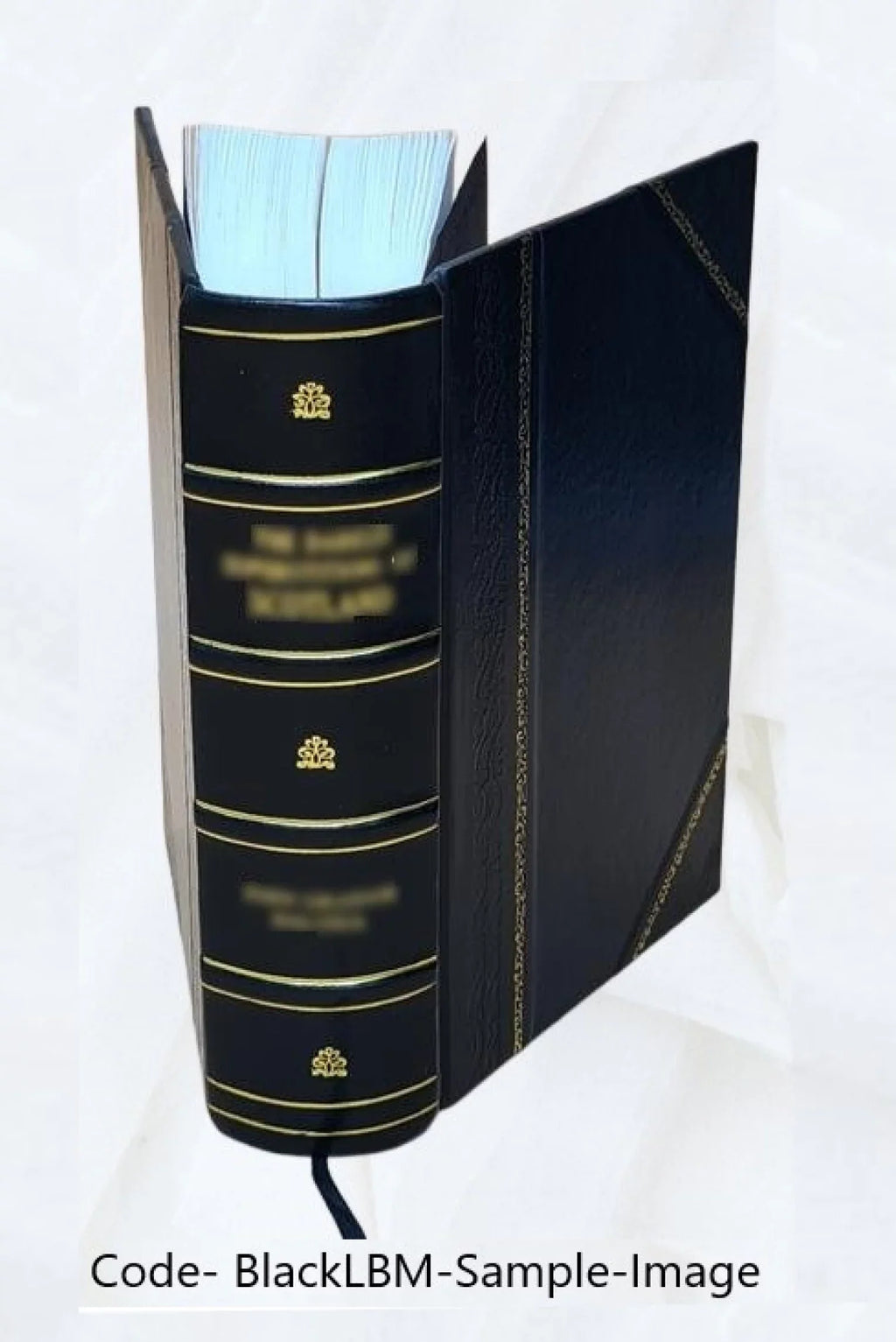 Volume of 1973:pt. business the compiled and / Administration, Bureau Insurance Security Survivors Federal County [Leath Agency. 1973 of Security patterns by 1-7 Social Old-Age the